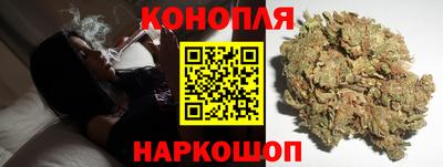 apvp Партизанск