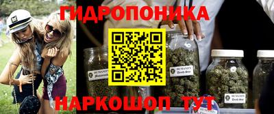 apvp Партизанск