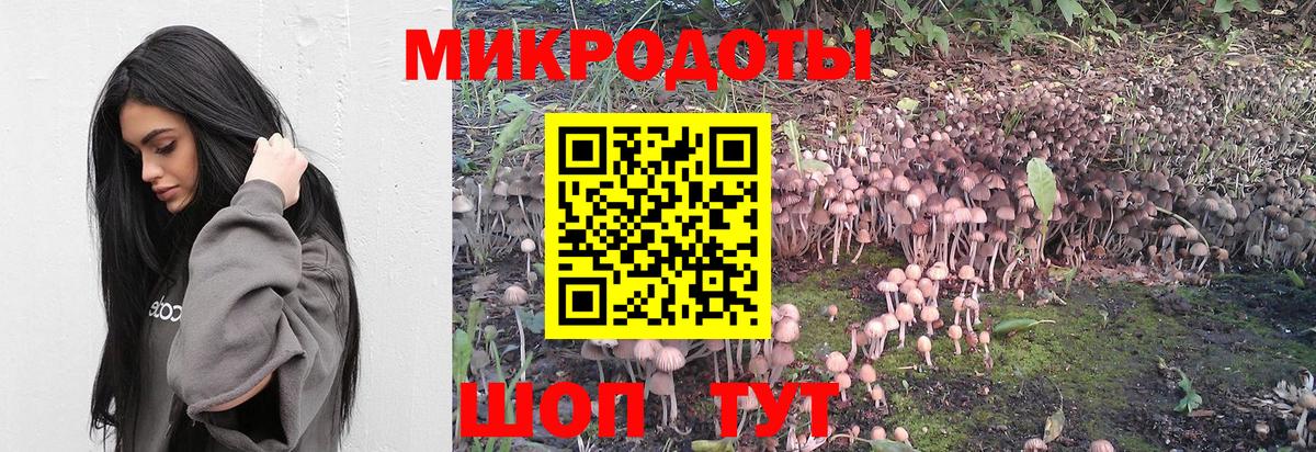 Псилоцибиновые грибы MAGIC MUSHROOMS  Галлюциногенные грибы мицелий  Вход с VPN  Ростов Великий 